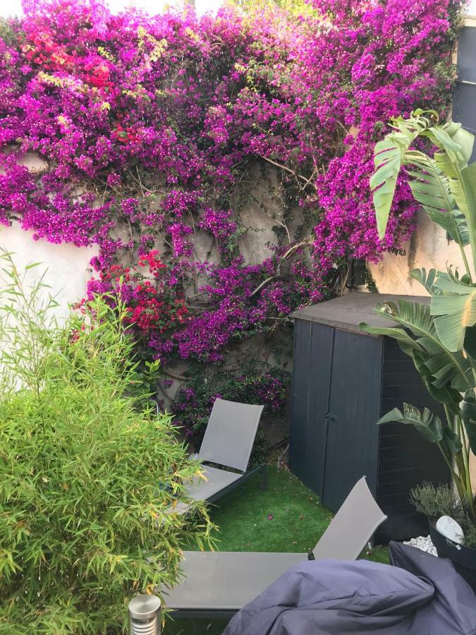 Studio Tout A Pieds Sanary-sur-Mer Eksteriør bilde